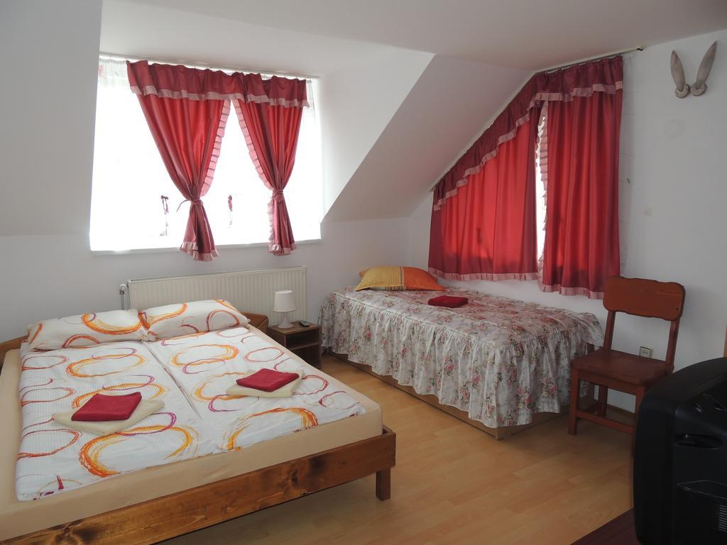 Casa Debora Hotel Hateg Exterior photo