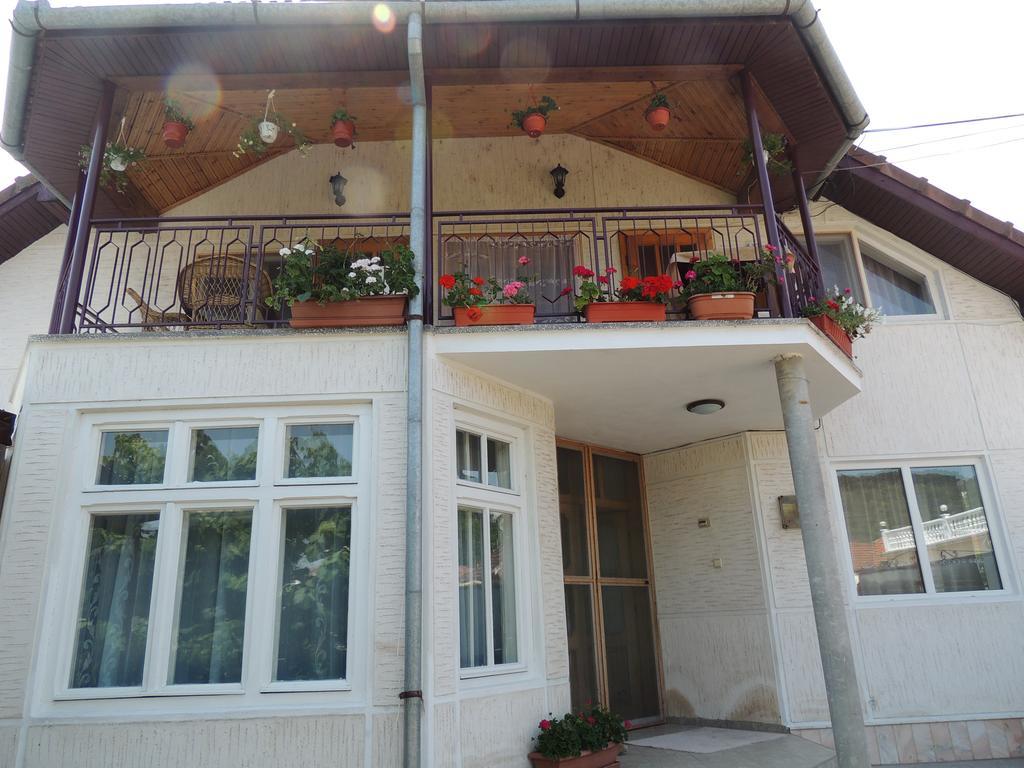 Casa Debora Hotel Hateg Exterior photo